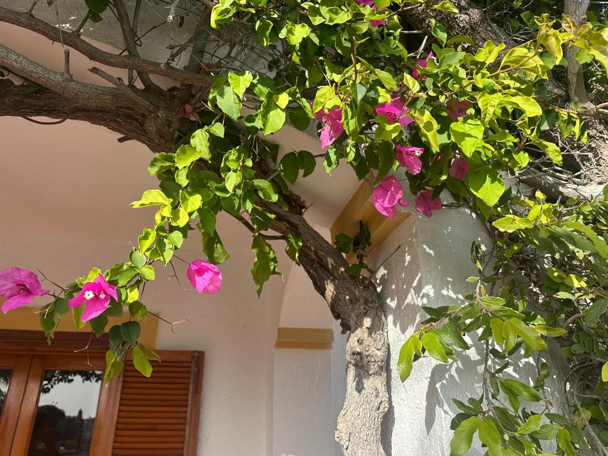 Casa Hermosa Mijas Extérieur photo